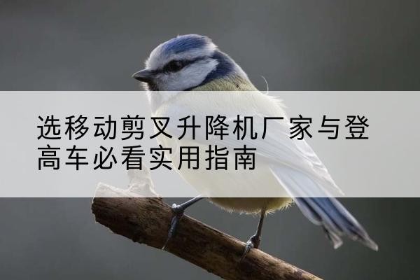 呼玛电动升降机厂家-选移动剪叉升降机厂家与登高车必看实用指南