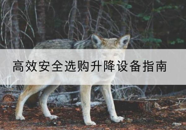 呼玛升降货梯厂家推荐-*安全选购升降设备指南
