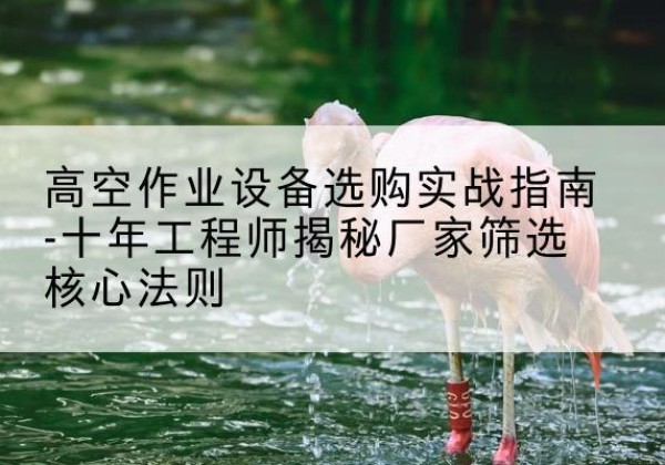 呼玛剪叉式升降机厂家-高空作业设备选购实战指南-十年工程师揭秘厂家筛选核心法则
